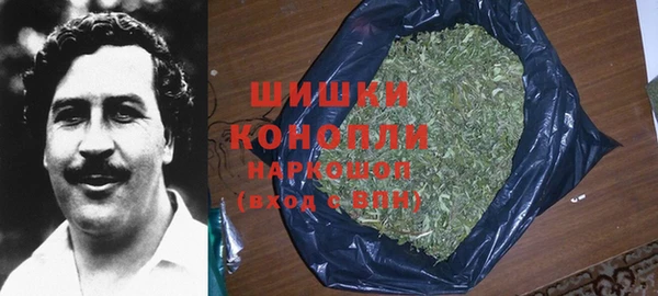 амф Белокуриха