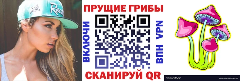купить наркоту  Бирюсинск  Псилоцибиновые грибы Psilocybe 