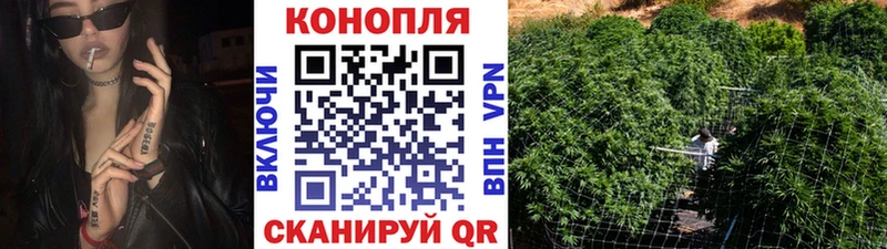 Бошки Шишки план  Бирюсинск 